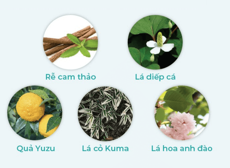Lotion dưỡng ẩm ngừa mụn SokaMocka